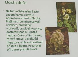 V souladu s přírodou, zdroj: Městská knihovna v Českém Krumlově