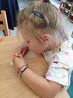 Střapatá smečka na pobočce Mír, zdroj: Městská knihovna v Českém Krumlově (12/15)