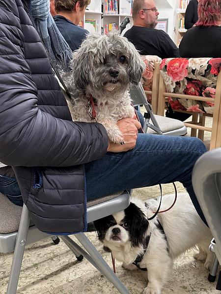 Noc v knihovně 2025, zdroj: Městská knihovna v Českém Krumlově, foto: Městská knihovna v Českém Krumlově (21/25)