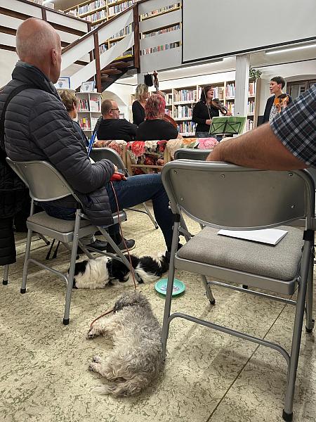 Noc v knihovně 2025, zdroj: Městská knihovna v Českém Krumlově, foto: Městská knihovna v Českém Krumlově (23/25)