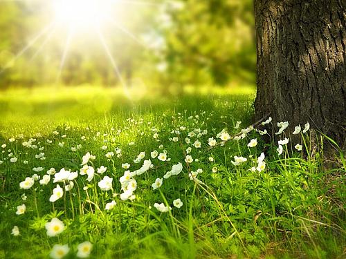 Jarní očista, Přednáška terapeuta Mgr. Michala Říhy z cyklu Zdraví je naše zodpovědnost 2 Jarní očista, Přednáška terapeuta Mgr. Michala Říhy z cyklu Zdraví je naše zodpovědnost 2