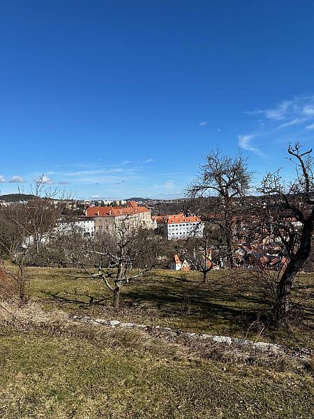 Studenti VU3V navštívili Palác ilustrace, zdroj: Městská knihovna v Českém Krumlově, foto: Městská knihovna v Českém Krumlově (10/20)