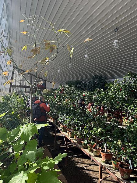 Studenti VU3V navštívili Palác ilustrace, zdroj: Městská knihovna v Českém Krumlově, foto: Městská knihovna v Českém Krumlově (15/20)