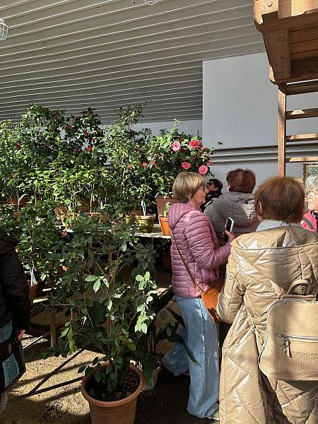 Studenti VU3V navštívili Palác ilustrace, zdroj: Městská knihovna v Českém Krumlově, foto: Městská knihovna v Českém Krumlově (16/20)