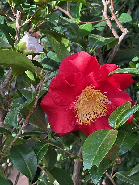 Studenti VU3V navštívili Palác ilustrace, zdroj: Městská knihovna v Českém Krumlově, foto: Městská knihovna v Českém Krumlově (18/20)