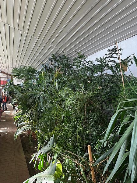 Studenti VU3V navštívili Palác ilustrace, zdroj: Městská knihovna v Českém Krumlově, foto: Městská knihovna v Českém Krumlově (20/20)