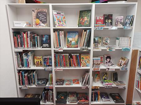 Od Ferdy k Fanoušovi aneb 100 let česko-slovenského komiksu - duben 2026, zdroj: Městská knihovna v Českém Krumlově, foto: Městská knihovna v Českém Krumlově (13/20)