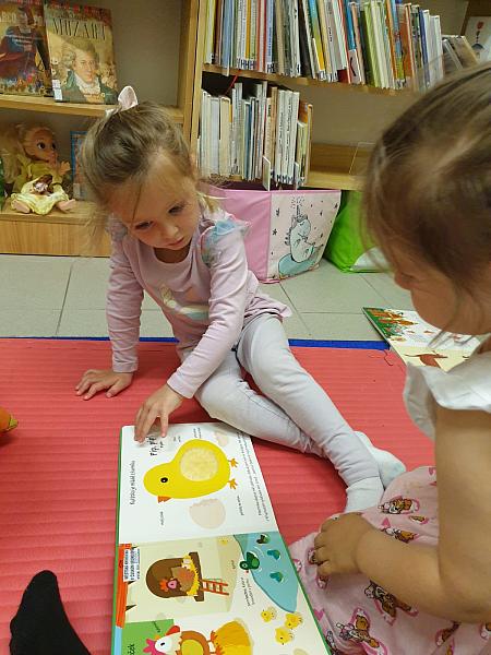 Střapatá smečka červen, zdroj: Městská knihovna v Českém Krumlově, foto: Městská knihovna v Českém Krumlově (8/13)