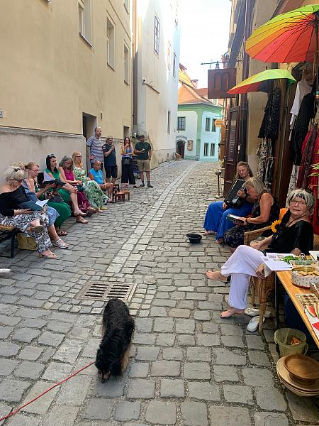 Čteme hezky česky 24. 6. 2026, zdroj: Městská knihovna v Českém Krumlově, foto: Městská knihovna v Českém Krumlově (4/11)