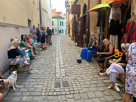 Čteme hezky česky 24. 6. 2026, zdroj: Městská knihovna v Českém Krumlově, foto: Městská knihovna v Českém Krumlově (7/11)