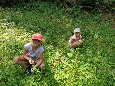 Příměstský tábor Otevíráme prázdniny s knihovnou 29. 6. – 30. 6., zdroj: Městská knihovna v Českém Krumlově, foto: Městská knihovna v Českém Krumlově (52/56)