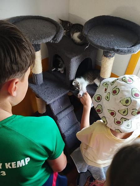 Prázdninová knihovna 2026 - středa 15.7., zdroj: Městská knihovna v Českém Krumlově, foto: Městská knihovna v Českém Krumlově (19/22)