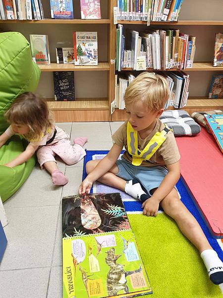 Střapatá prázdninová smečka na pobočce Mír, zdroj: Městská knihovna v Českém Krumlově, foto: Městská knihovna v Českém Krumlově (11/15)